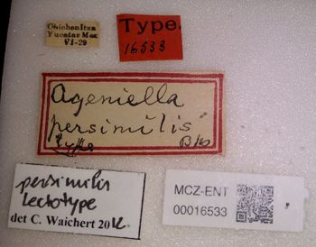 Media type: image;   Entomology 16533 Aspect: labels